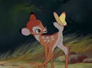 Bambi. Bambi, where are you? Bambi! Bambi!