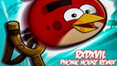 Angry Birds PHONK