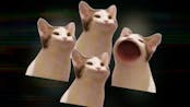 Cat Pop Bohemian Rhapsody