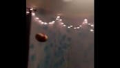 A potato flew around my room