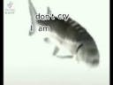 Don’t cry I’m just a fish 😔🖐