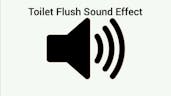 Toilet Flushing SFX 2