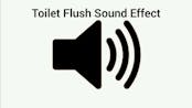 Toilet Flushing SFX 2