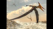 Pterosaur Sound Effect