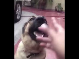 get the fuck out of here
