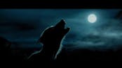 Werewolf sound effect 3