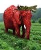 Ano ano wilkum!!!!1111 (Stawberry Elephant)