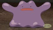 Ditto angry