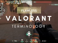 Valorant Flawless Team Ace 