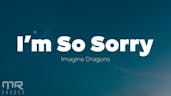 I'm so sorry by imagine dragons