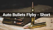 Auto Bullets Flyby - Short