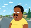 Cleveland Brown Angry