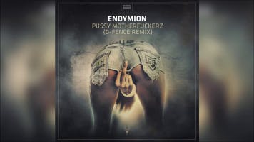 Endymion - Pussy Motherfuckerz