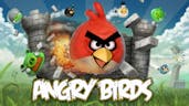 Angry birds