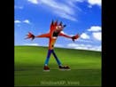 CRASH BANDICOOT 'WOAH' WINDOWS XP EDITION