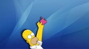 Homer Simpson: Hang up