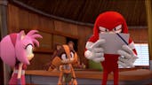 Knuckles can't read