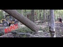 Tree Falling In Forest 