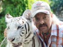 Standing in a cage with 5 tigers and a lion