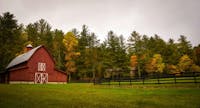 Country Girl