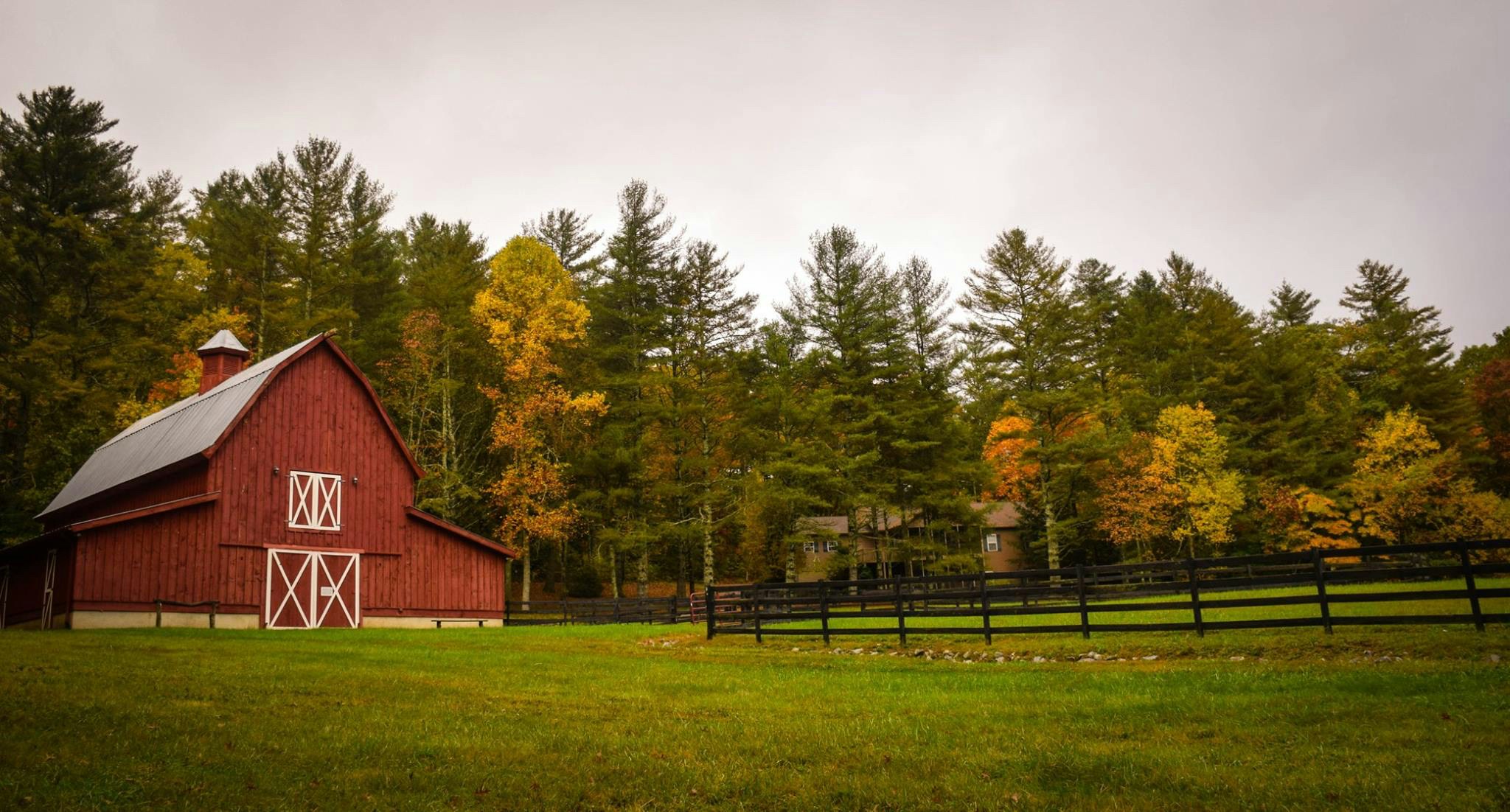 Country Girl