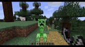 Minecraft The Old Creeper