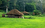 Morning Village Life