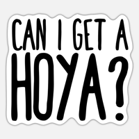 Can i get a hoya Meme Sound Effect Voicy