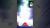 white bird screaming facetime