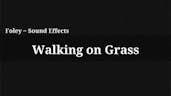 Walking On Grass