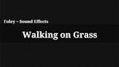 Walking On Grass