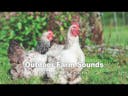 Outdoor Farm Sounds
