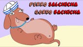 Perro salchicha gordo bachicha 