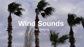 Wind