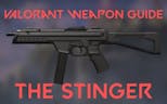 Valorant Weapon Stinger Burst 