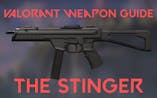 Valorant Weapon Stinger Burst 