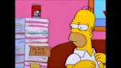Homer Simpson: Pay taxes