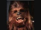 Chewbacca sound effect 6