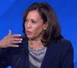 That guy in the Wizard of Oz - Kamala Harris