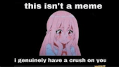 this isn't a meme.I really have a crush on you