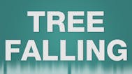 Tree falling SFX