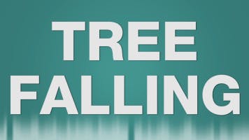 Tree falling SFX