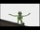 Kermit Falling Off A Building