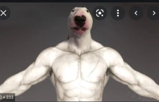 Fart
