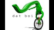 Here com dat boi again