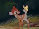 Come on, Bambi, get up. Try again.