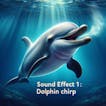 Dolphin Chirping 1