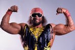 Randy Savage - Wild