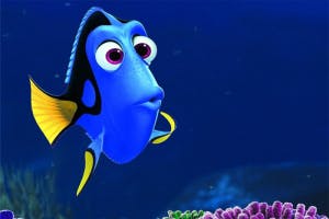 Bad squishy