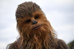 Wookie 